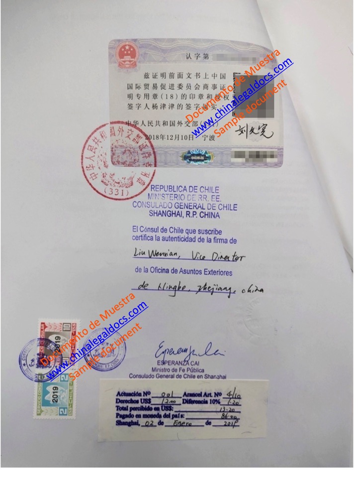 CHILE PAGINA CONSULADO